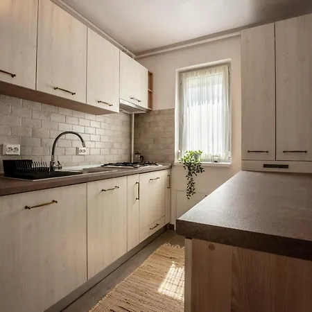 Daisy Apartment1 Sighisoara